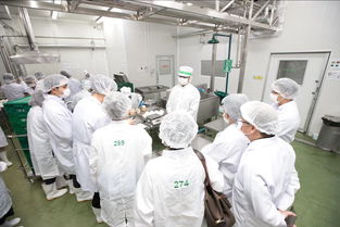 t mark品質,太多你不知道的驚喜